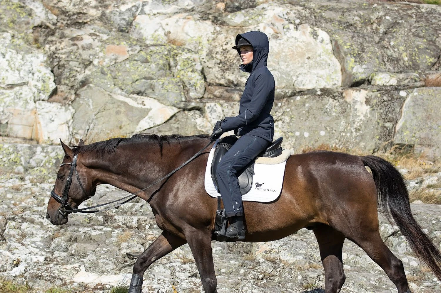 Stierna Stella Thermo Riding Pants 16 Stierna Stella Thermo Riding Pants - Image 14