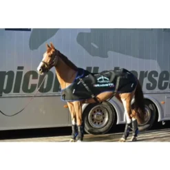 Veredus Magnetik Rug -Exquisite Equestrian Equipment Store veredus magnetik rug 2 1 jpg