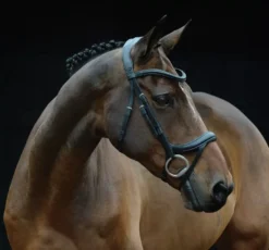 Collegiate ComfiTec Vogue Anatomical Bridle -Exquisite Equestrian Equipment Store voguebl1 1 3 jpg