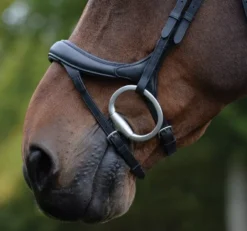 Collegiate ComfiTec Vogue Anatomical Bridle -Exquisite Equestrian Equipment Store voguebl2 2 jpg