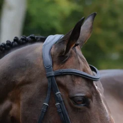 Collegiate ComfiTec Vogue Anatomical Bridle -Exquisite Equestrian Equipment Store voguebl4 2 jpg