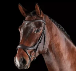 Collegiate ComfiTec Vogue Anatomical Bridle -Exquisite Equestrian Equipment Store voguebr1 2 jpg