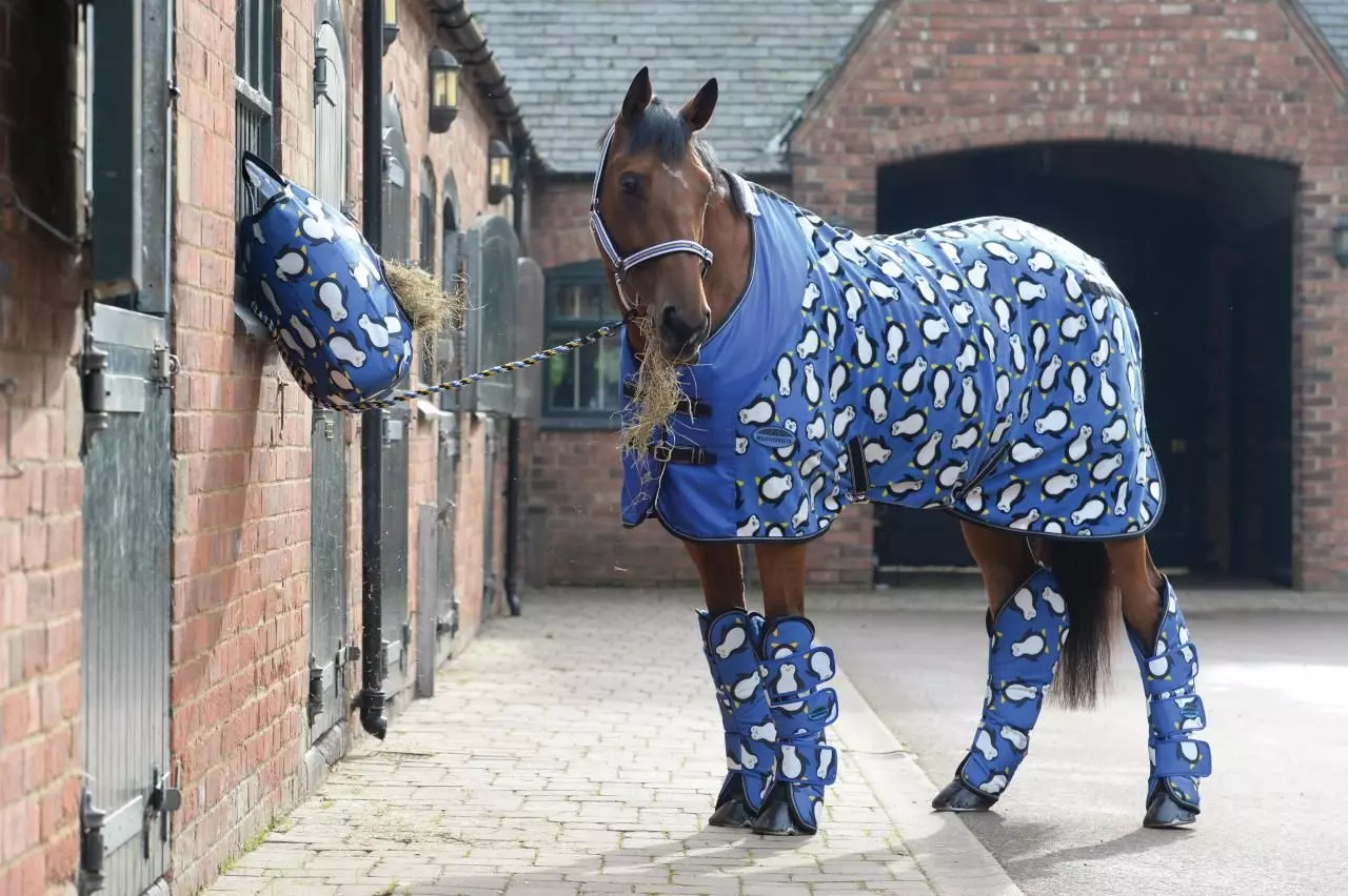 Weatherbeeta Wide Tab Long Travel Boots 13 Weatherbeeta Wide Tab Long Travel Boots - Image 11