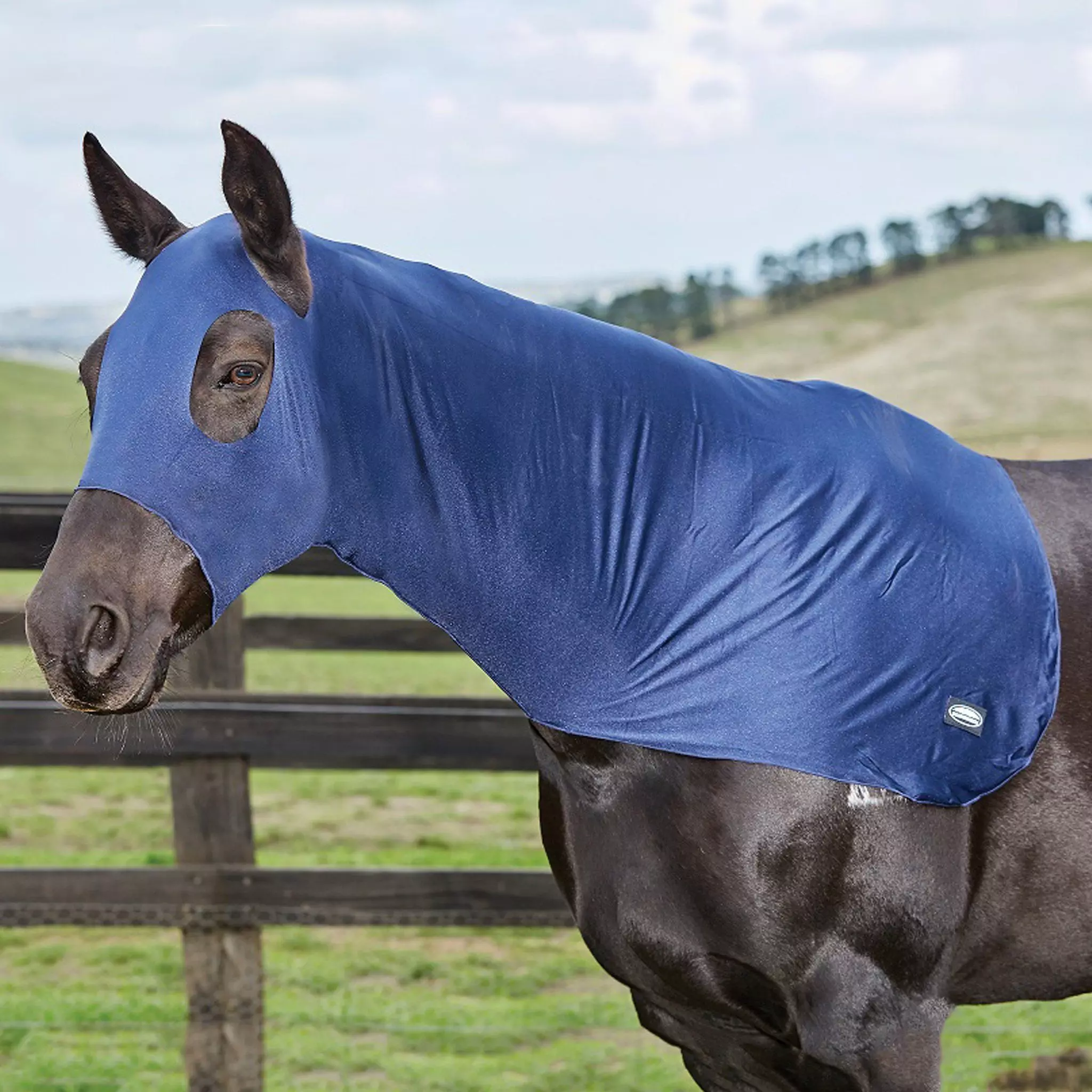 Weatherbeeta Stretch Hood 7 Weatherbeeta Stretch Hood - Image 5