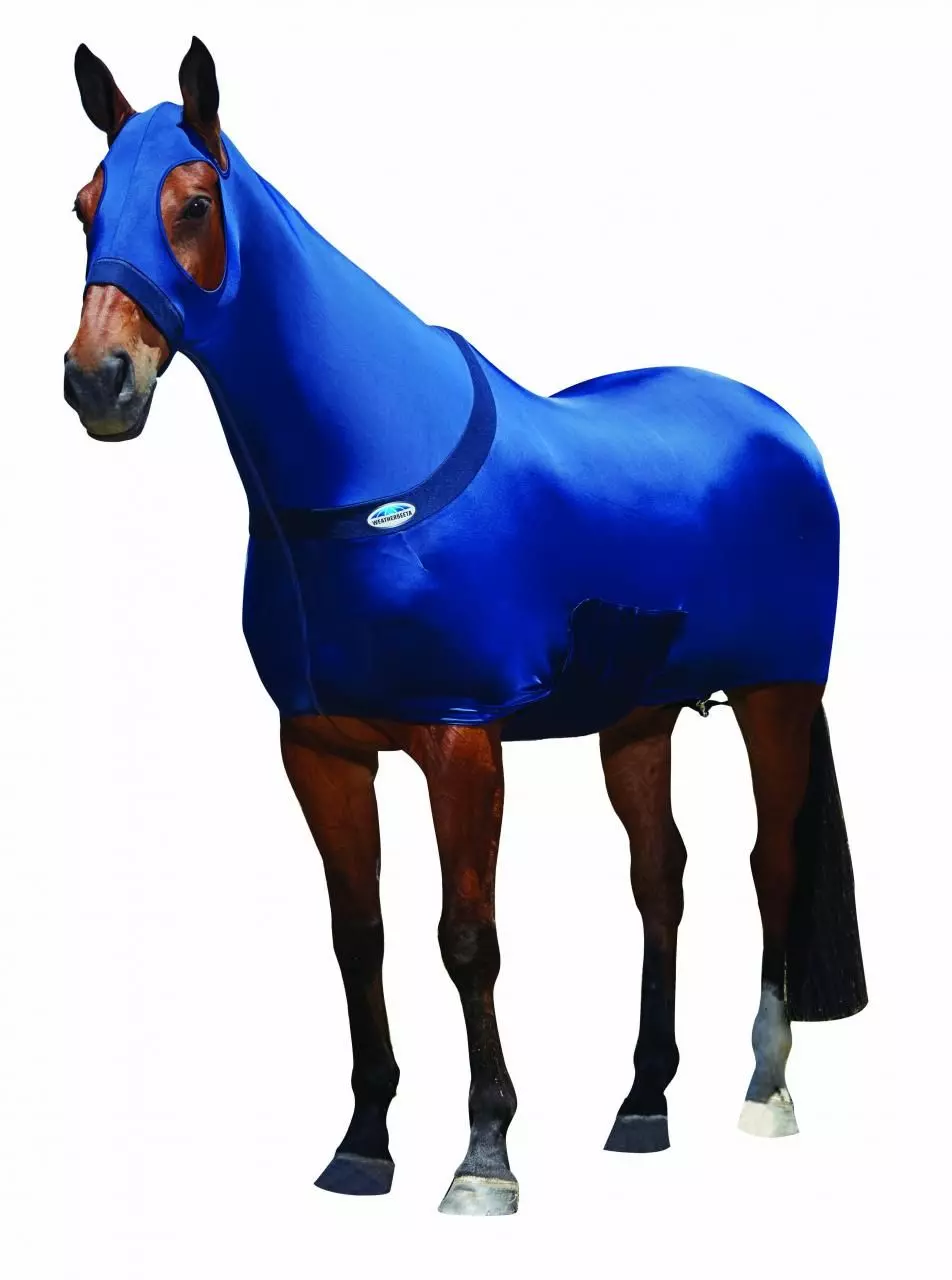 Weatherbeeta Stretch Rug With Belly Closure 5 Weatherbeeta Stretch Rug With Belly Closure - Image 3