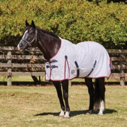 WeatherBeeta Summer Sheet Lite III Standard Neck 13 WeatherBeeta Summer Sheet Lite III Standard Neck -Exquisite Equestrian Equipment Store weatherbeeta summer sheet lite iii standard neck 6 jpg