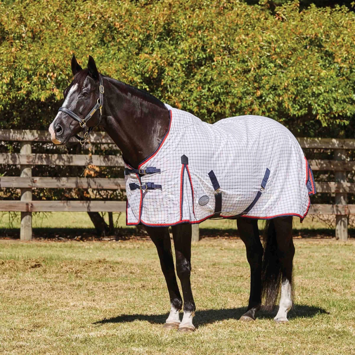 WeatherBeeta Summer Sheet Lite III Standard Neck 3 WeatherBeeta Summer Sheet Lite III Standard Neck