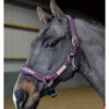 John Whitaker Airflow Headcollar And Leadrope Set -Exquisite Equestrian Equipment Store whcs 1 1 jpg