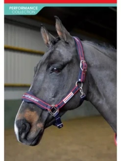 John Whitaker Airflow Headcollar And Leadrope Set 8 John Whitaker Airflow Headcollar And Leadrope Set -Exquisite Equestrian Equipment Store whcs 1 jpg