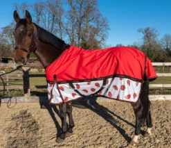 John Whitaker Ladybird Airflow Turnout Rug 22 John Whitaker Ladybird Airflow Turnout Rug -Exquisite Equestrian Equipment Store wht0227 1 8 jpg