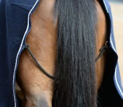 Weatherbeeta Wool Show Sheet With Chest Panel Standard Neck -Exquisite Equestrian Equipment Store wool4 2