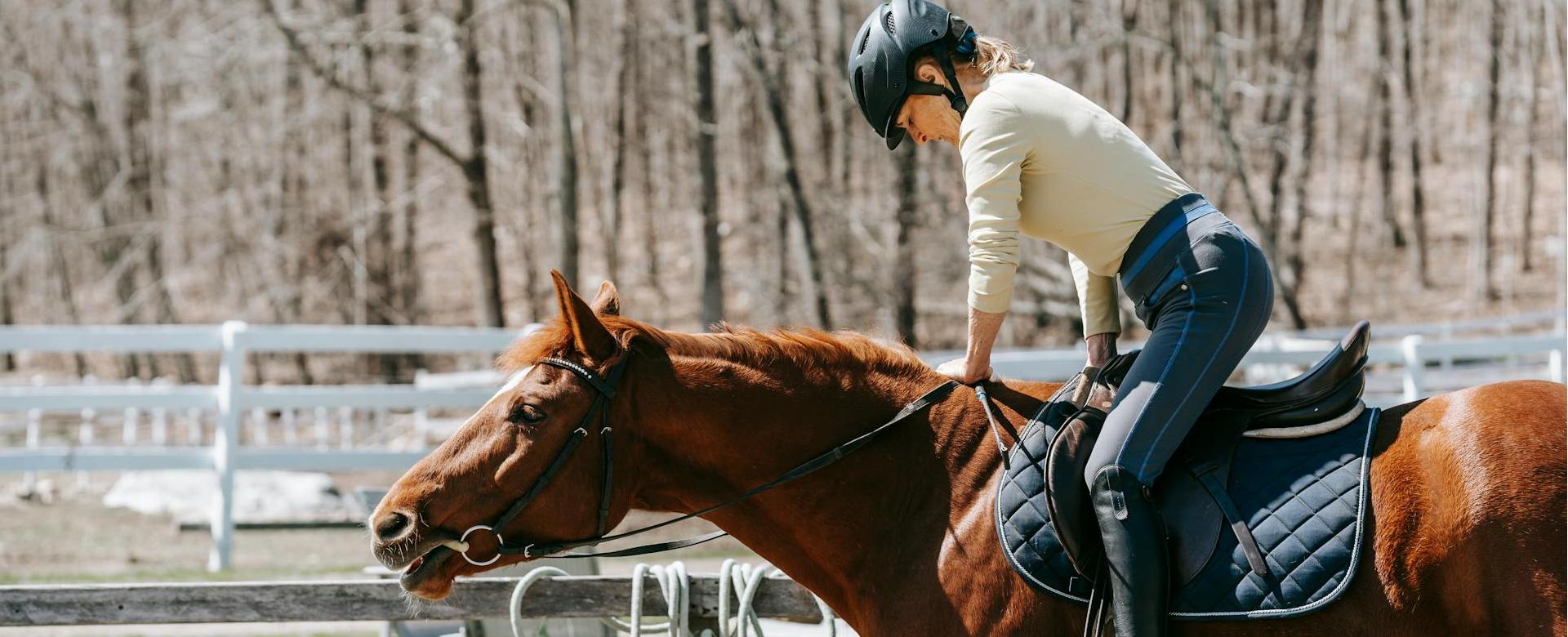 Exquisite Equestrian Equipment Store -Exquisite Equestrian Equipment Store pexels barbara olsen 7882953